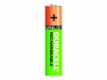 Duracell StayCharged - Batterie 4 x AAA - NiMH