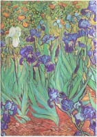 PAPERBLANKS Notizbuch Van Goghs Midi PB8204-0 liniert, 144 S.