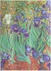 PAPERBLAN Notizbuch Van Goghs       Midi - PB8204-0  liniert, 144 S., bunt