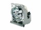 ViewSonic RLC-091 - Lampe de projecteur - pour ViewSonic PJD6544w
