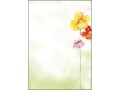 Sigel Motivpapier Spring Flowers A4, 50 Blatt, Papierformat: A4