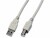 Image 1 Wirewin USB2.0-Kabel A-B: 3m, grau,