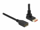 DeLock Verlängerungskabel Oben gewinkelt DisplayPort, 2 m