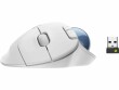 Logitech Trackball Ergo M575 for Business Off-white, Maus-Typ