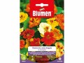 Blumen Saatgut Gefüllte Zwerkapuzinerkresse Mix, Bio: Nein