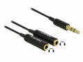 DeLock Audio-Kabel Klinke 3.5 mm, male - Klinke 3.5