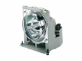 ViewSonic REPLACEMENT LAMP FOR PJD8633WS