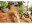 Image 4 Gardena Gartenschere HerbCut Set, Schnittbreite: 52 mm, Scherentyp