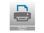 Agfeo Lizenz HyperVoice Faxbox 1, Lizenztyp