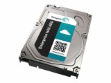 Seagate Enterprise NAS HDD ST4000VN0001 - Festplatte - 4