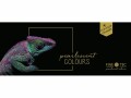 Finetec Aquarellfarbe Colourful 24 Farben