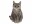 Image 1 Vivid Arts Dekofigur Katze Tabby, Natürlich Leben: Keine