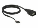 DeLock USB2.0 Pinheaderkabel 60 cm Pfostenbuchse ? USB-A-Buchse