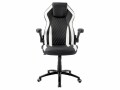 Racing Chairs Racingchair CL-RC-BW-2 Gaming Chair