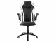 Racing Chairs Gaming-Stuhl CL-RC-BW-2 Schwarz/Weiss, Lenkradhalterung