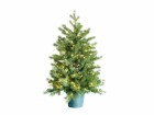 Botanic-Haus Weihnachtsbaum De Luxe 144 LEDs Easy Shape 90