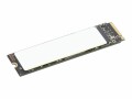 Lenovo 2TB Performance PCIe Gen4 NVMe, LENOVO 2TB Performance