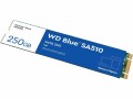 Western Digital SSD WD Blue SA510 M.2 2280 SATA 250