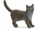 Schleich Spielzeugfigur Farm World Britische Kurzhaar Katze
