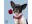 Bild 3 Dog with a mission Halsband Bonnie, XS, 2 cm, Halsumfang: 23