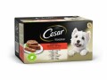 Cesar Nassfutter Klassiker Selection, 8 x 150 g, Tierbedürfnis