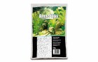 AMAZONAS Bodengrund Aquarienkies 2-3 mm, 5 kg, Weiss, Grundfarbe