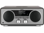 TechniSat DAB+ Radio DigitRadio 601