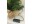 Immagine 3 Dameco Weihnachtsbaum mit Jute-Topf, 15 LEDs, 50 cm, Grün