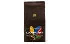 Tropical Mountains Kaffeebohnen COLOMBIANO, 500 g