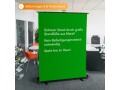 Walimex Pro Hintergrund Roll-up 155 x 200 cm Grün