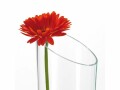 Leonardo Vase Dynamic 40 cm Transparent, Höhe: 40 cm