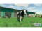 Bild 4 Giants Software Landwirtschafts Simulator 22 Premium Edition, Für