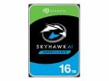 Seagate SkyHawk AI - ST16000VE002