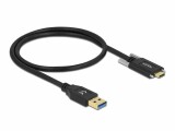 DeLock USB 3.1-Kabel Schraube seitlich USB A - USB