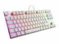 SHARKOON TECHNOLOGIE Sharkoon PureWriter TKL RGB - Tastatur