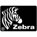 Zebra - Direct Receipt 2024