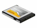 DeLock CFexpress-Karte 54066 256 GB