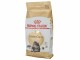 Royal Canin Trockenfutter Maine Coon Adult, 2 kg, Tierbedürfnis