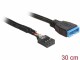 Immagine 1 DeLock DeLOCK - Internes USB-Kabel - 9-poliger