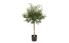 Botanic-Haus Kunstpflanze Olivenbaum 89 cm, Produkttyp: Topfpflanze