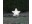 Bild 2 Star Trading Gartenlicht Star, Weiss, Betriebsart: Netzbetrieb, Dimmbar