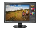 EIZO Monitor CS2420 Swiss Edition, Bildschirmdiagonale: 24.1 "