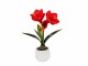 Botanic-Haus Kunstblume Amaryllis im Topf, Rot, Produkttyp: Blume, Material: Polyester, Farbe: Grün, Rot, Braun