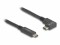 Bild 2 DeLock USB-Kabel 10 Gbps USB C - USB C