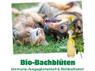 cdVet Hunde-Nahrungsergänzung Bio-Bachblüten, Angst, 20 ml