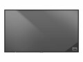 Sharp NEC Display Solutions NEC M551 PG-2 Display Protection Glass 55" UHD 24/7 500cd