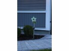 Star Trading Gartenlicht Solardekoration Linny Star, Grün