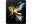 Bild 3 Samsung Galaxy Z Fold4 5G 512 GB CH Graygreen