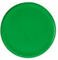 BÜROLINE Magnet 24 mm 392623 grün 6 Stück, Kein