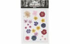 Creativ Company Streudeko Gepresste Blüten, 22 farbig sortiert, Motiv